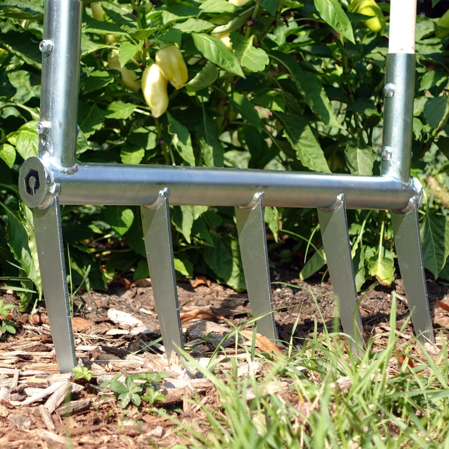 Green Tools Tech broadfork with galvanized steel tines in a no-dig Market Garden