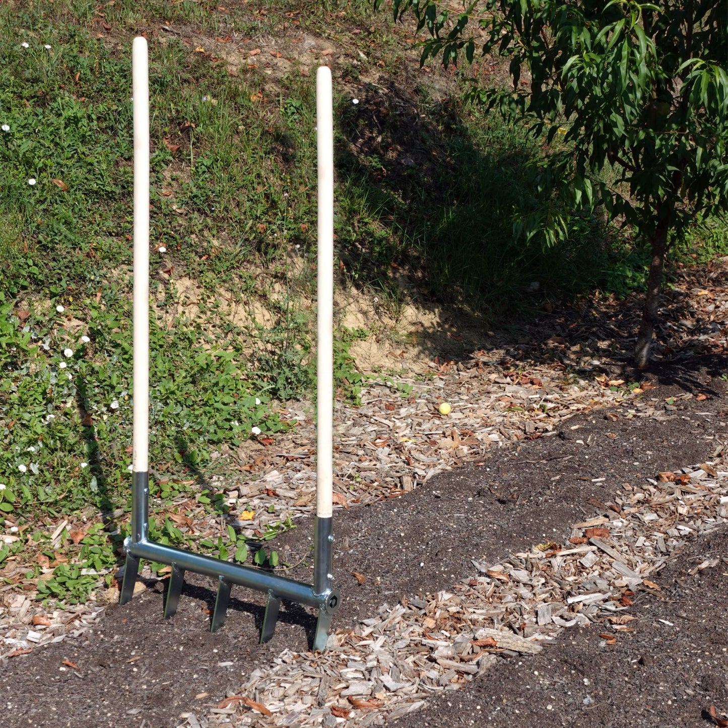 Broadfork Green Tools Tech with wooden handles and steel frame standing on a no-dig Market Garden bed