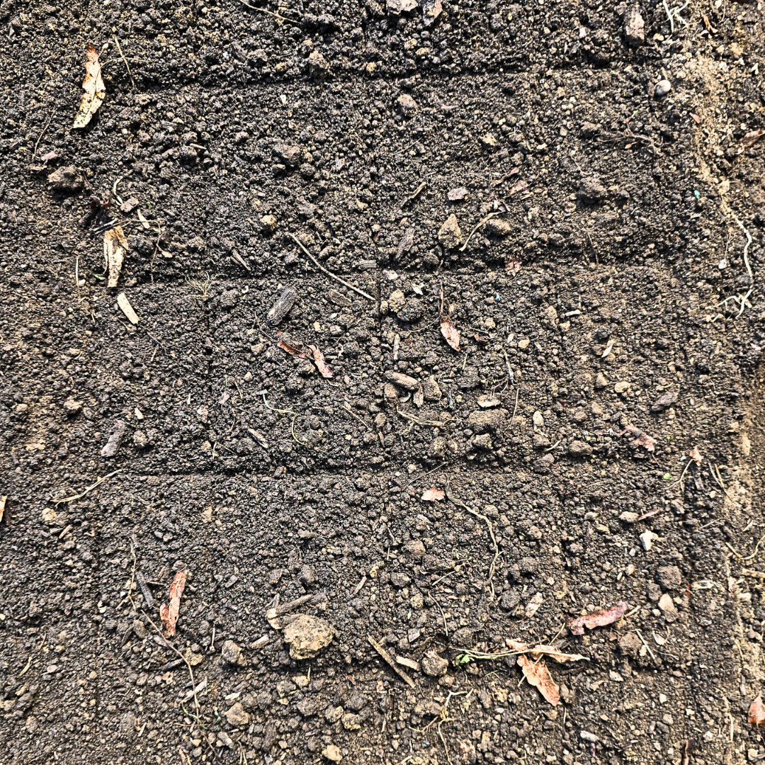 A precise grid planting layout produced by the Green Tools TECH Grid Marker in a no-dig market garden.