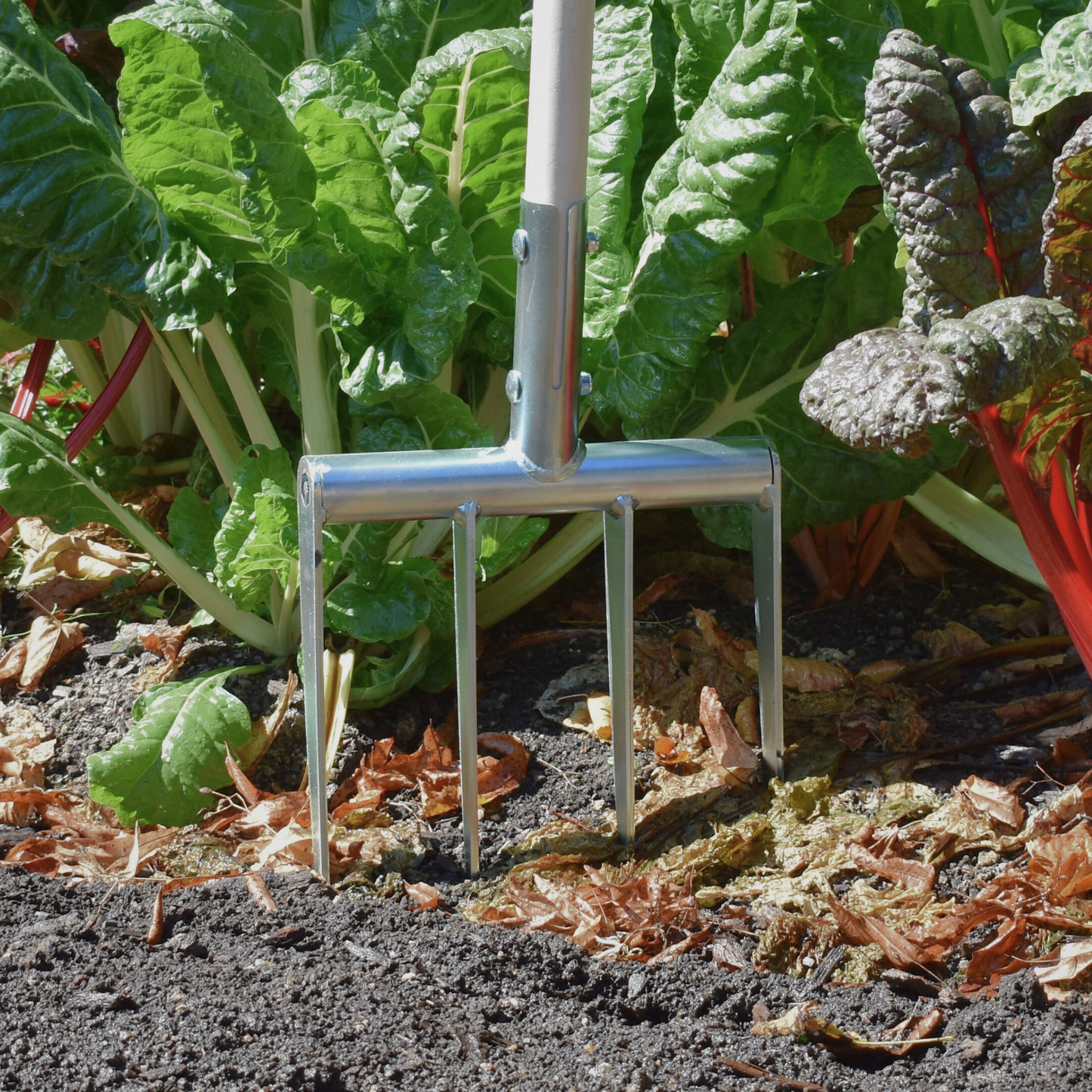 Green Tools Tech Minifork with hardened steel tines loosening soil in a no-dig market garden bed beside Swiss chard plants