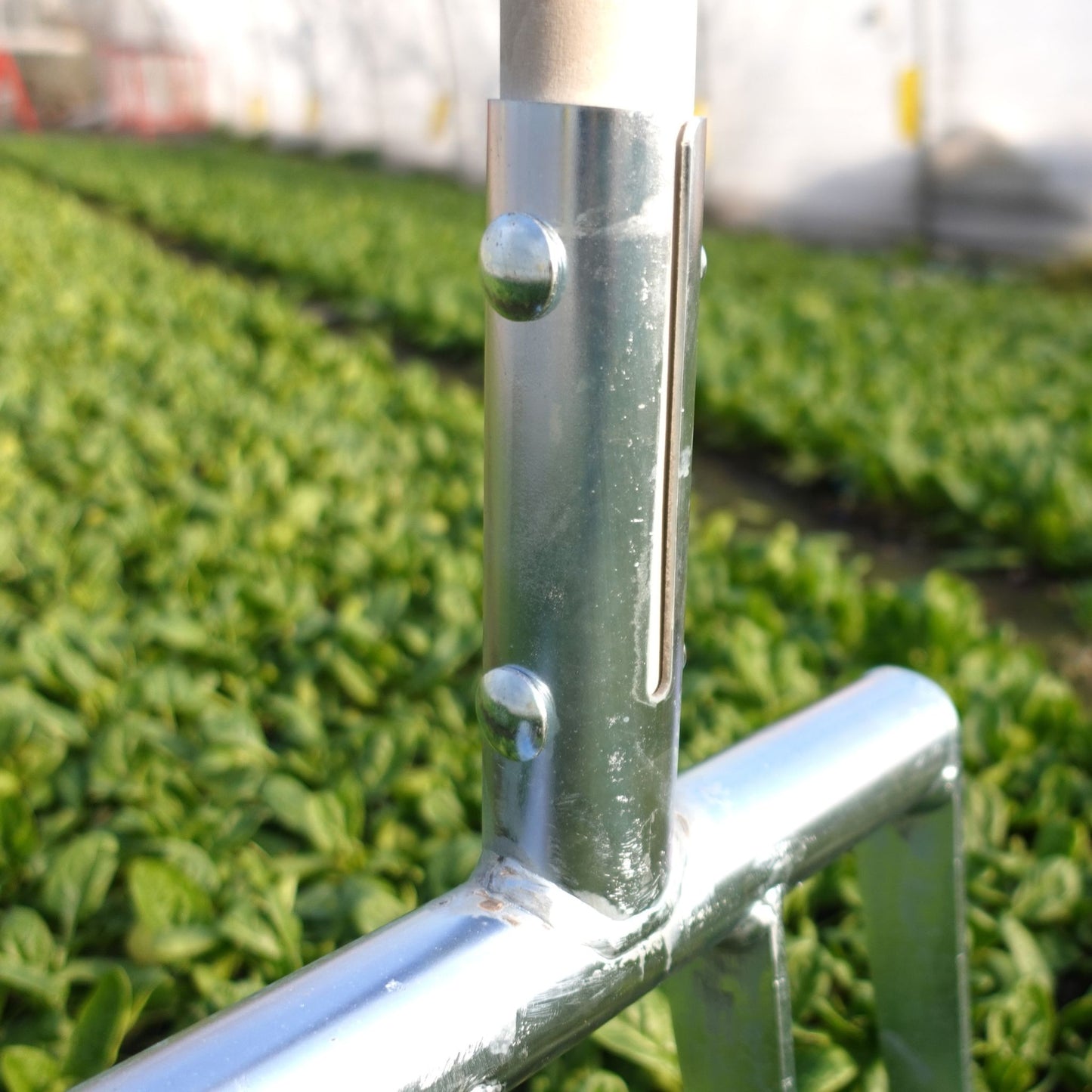 A close up of the Green Tools Tech Minifork with hardened steel tines loosening soil in a no-dig market garden
