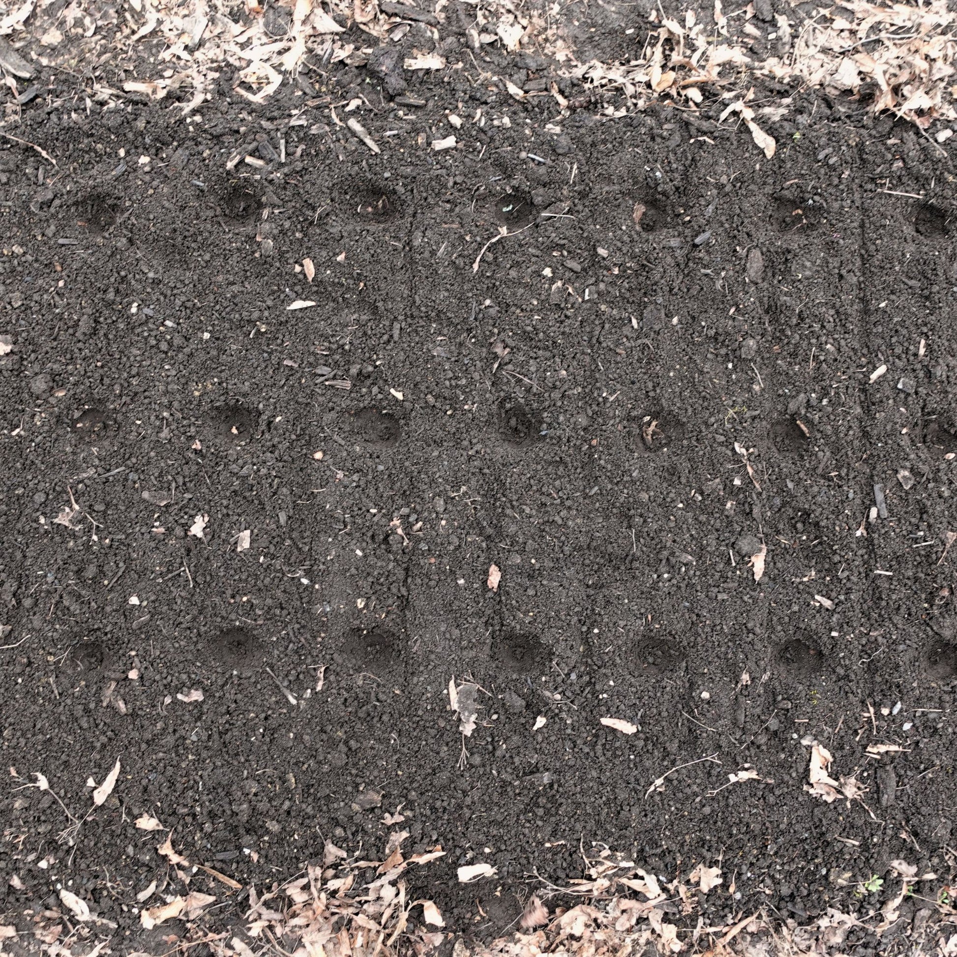 Green Tools Tech Rolling Dibbler planting pattern layout for precise no-dig market garden transplanting