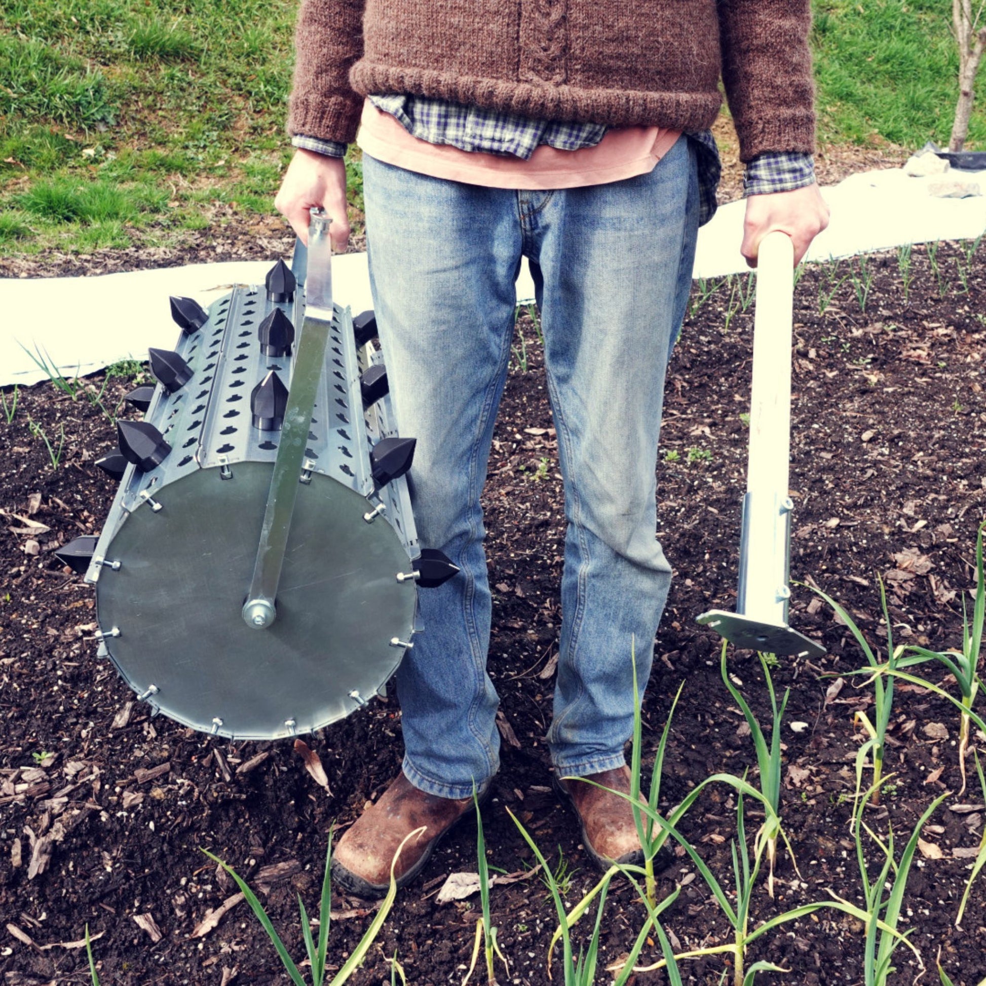 A person carrying Green Tools Tech Rolling Dibbler used for precise no-dig market garden transplanting and cover crop crimping on biointensive beds