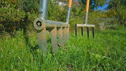Broadfork and Minifork in a garden.