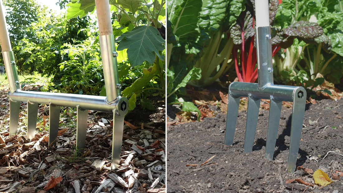 Broadfork and Minifork side by side in garden beds