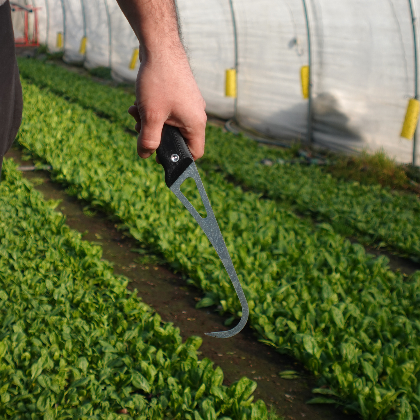 Hand Cultivator