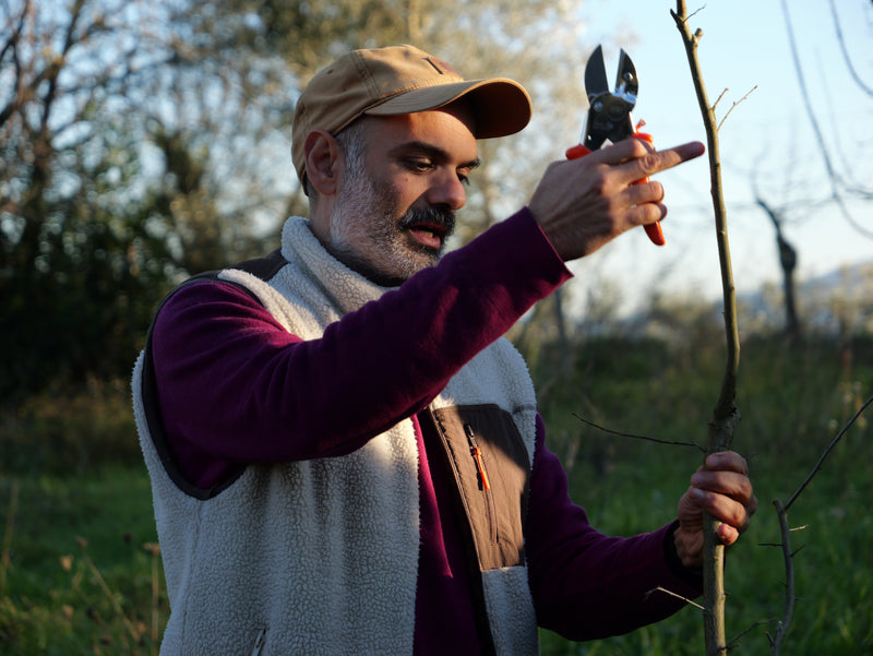 Dario Cortese