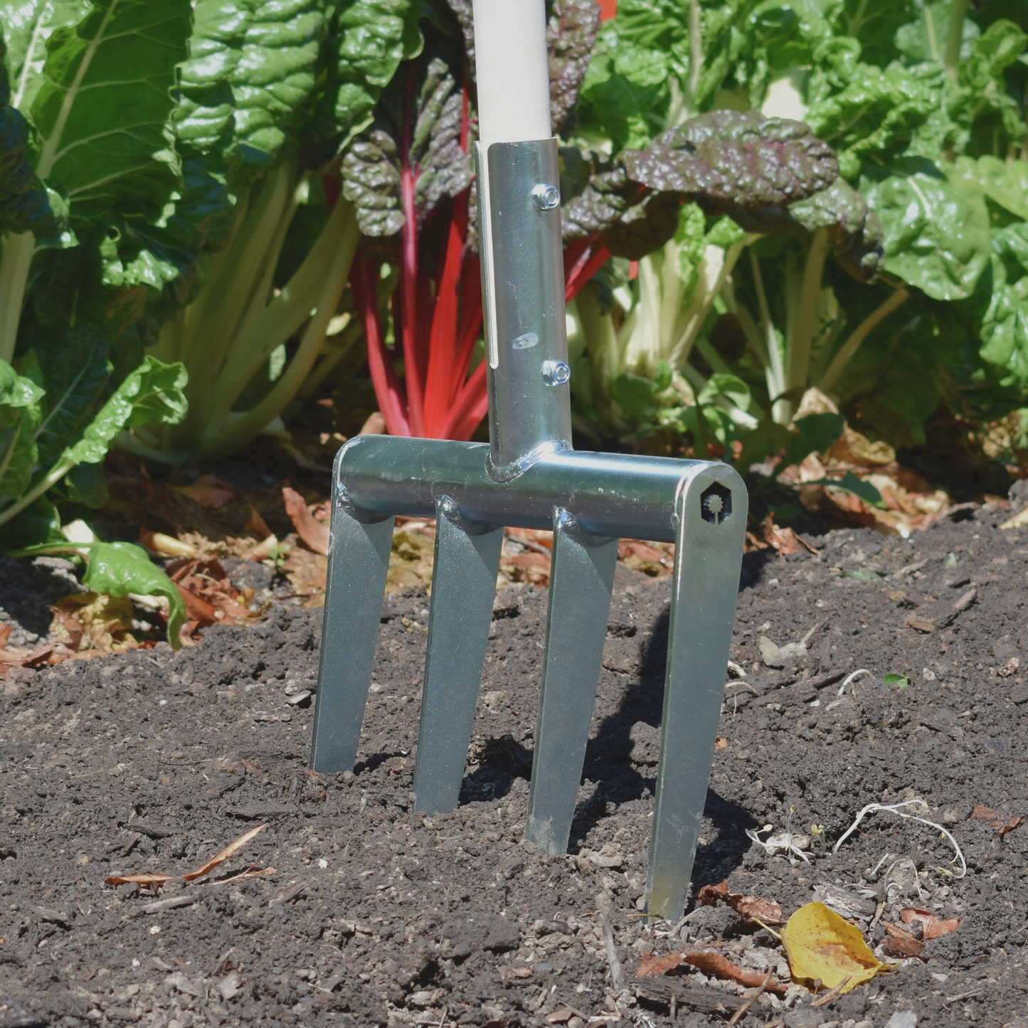 Market Garden Starter Kit 2