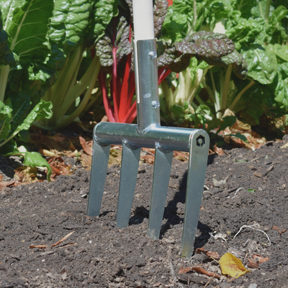 Market Garden Starter Kit 2