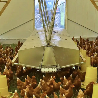 Green Tools TECH Nest Box System in a mobile chicken hoop-coop.