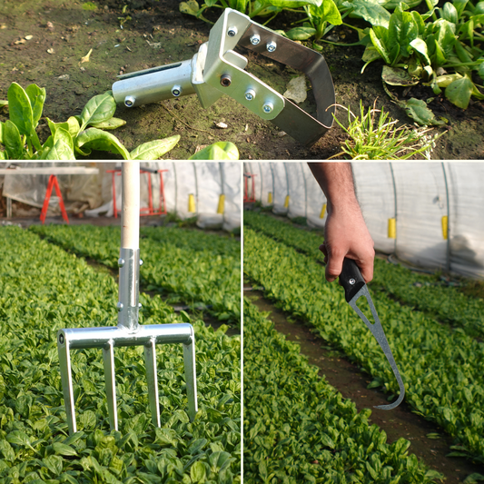 Market Garden Starter Kit 2