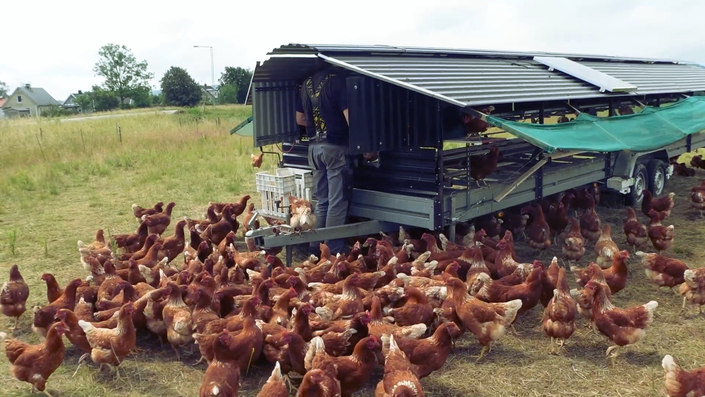 Rollaway Nest Box System for Eggmobiles