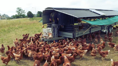 Rollaway Nest Box System for Eggmobiles