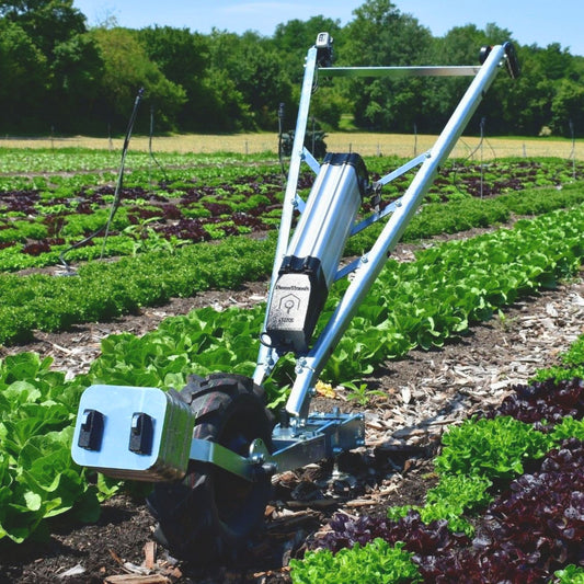Green Tools Tech NanoTrack electric wheel hoe working between lettuce rows in a no-dig market garden bed