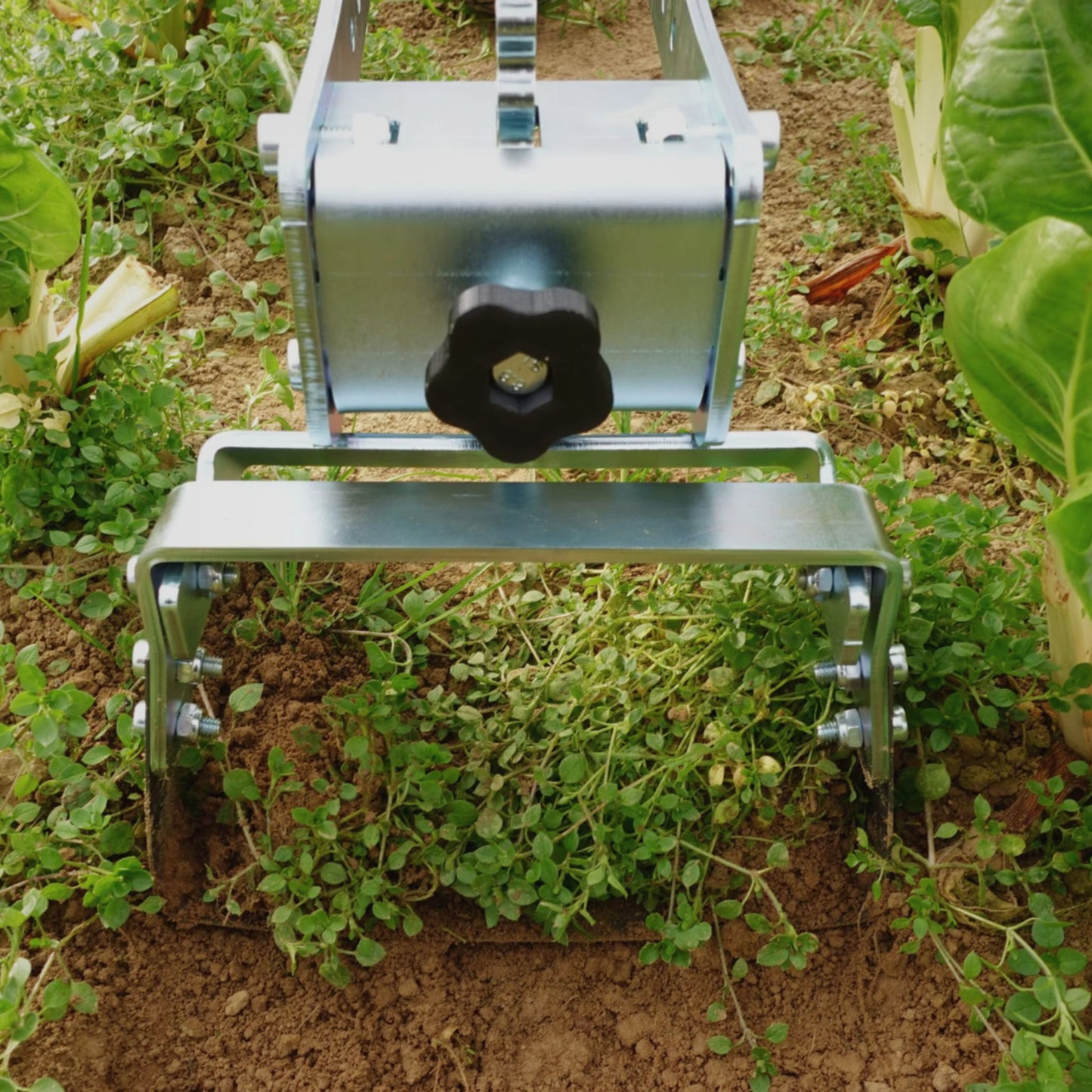 A close up of the Green Tools Tech Single Wheel Hoe 20 cm swing hoe blade for efficient no-dig market garden weeding and soil cultivation